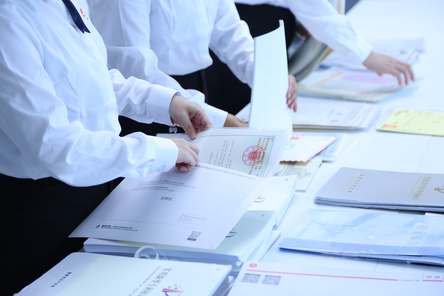 China IP Pro professionals reviewing registration and filing documents