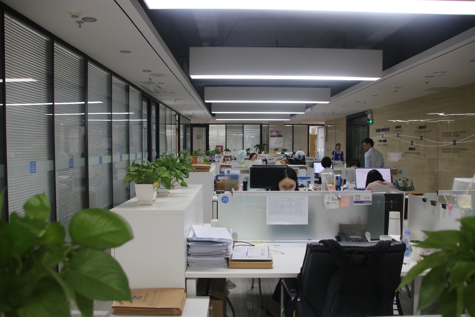 China IP Pro office interior with shared workstations