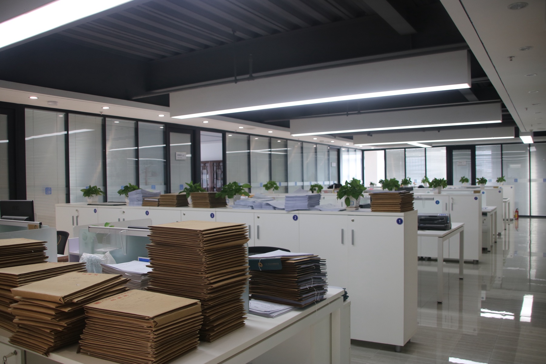 Physical records and file-preparation area in the China IP Pro office