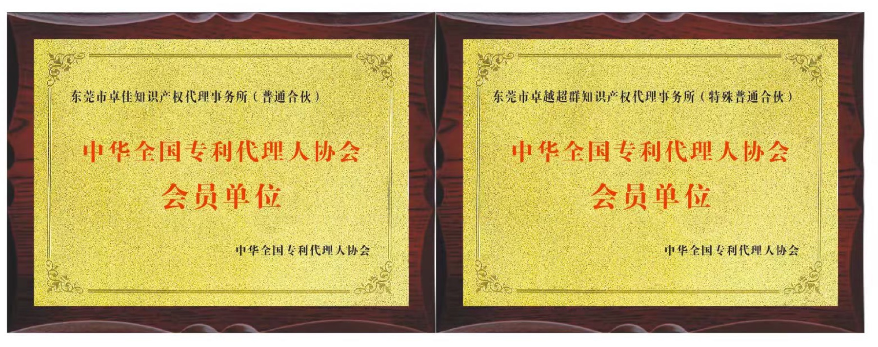 All-China Patent Attorneys Association Member Organizations